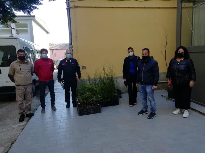 Girifalco pianta un "Albero per il futuro" della comunità
