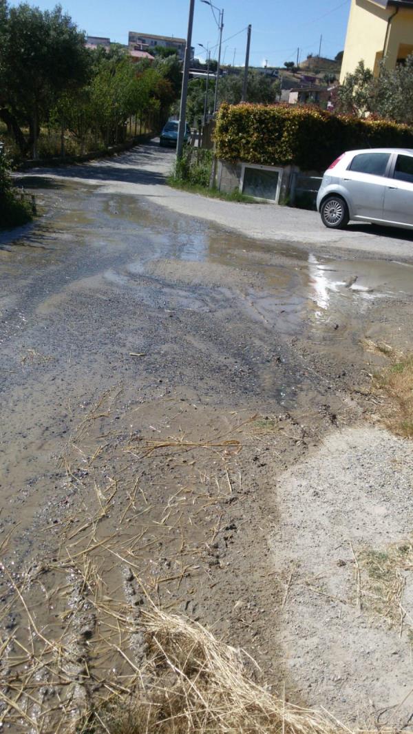 images Catanzaro, ingenti perdite d'acqua in via Tagliamento. I residenti sollecitano l'intervento del Comune