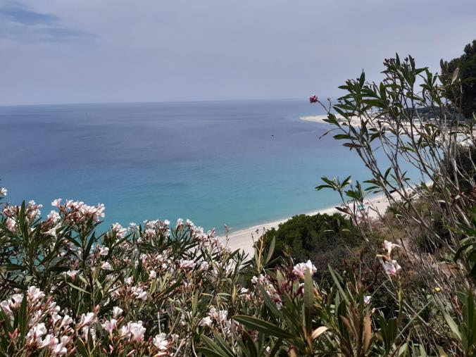 images Il Giardino Botanico Santicelli: un "terrazzone" verde, affacciato sulla Perla Blu di Soverato