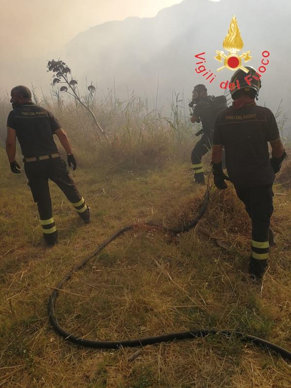 images Brucia la Calabria, oltre 170 interventi dei Vigili del Fuoco nelle ultime 24 ore