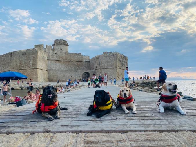 images Crotone. In spiaggia con i 4 zampe dell'Associazione Cani Salvataggio all'insegna di prevenzione e sicurezza 