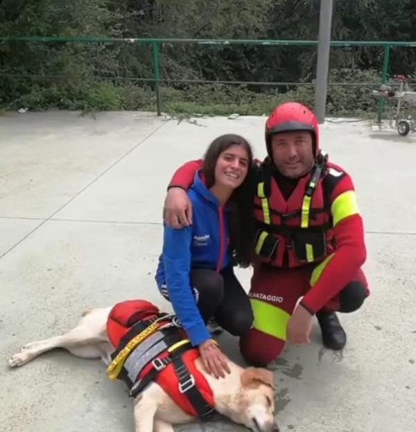 images Lorica. Soccorsa dai cani salvataggio durante la gara di nuoto: "Grazie, fate con amore la vostra missione"