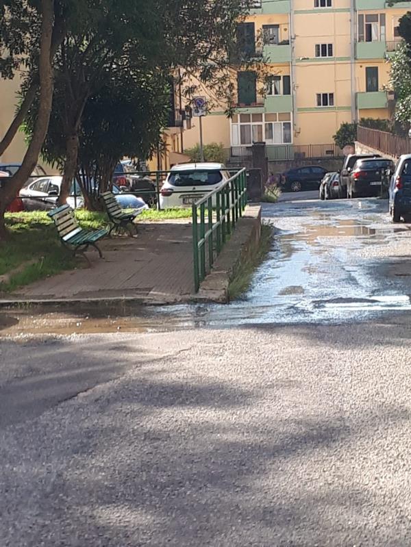 images Catanzaro. Grossa perdita d'acqua a Via Alberto De Nobili: i residenti attendono risposta dal Comune