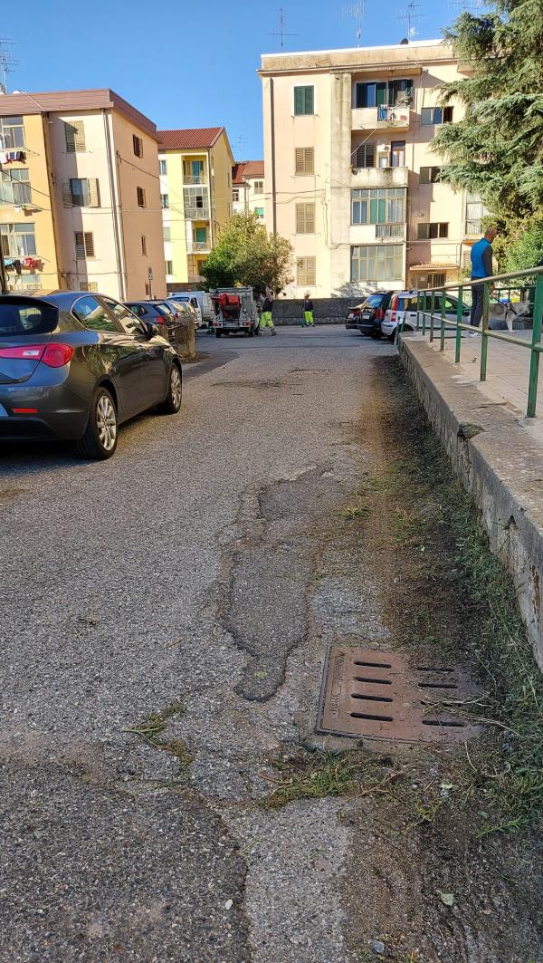 images Catanzaro. La Sieco ripulisce via De Nobili solo dopo le continue richieste dei residenti (FOTO) 