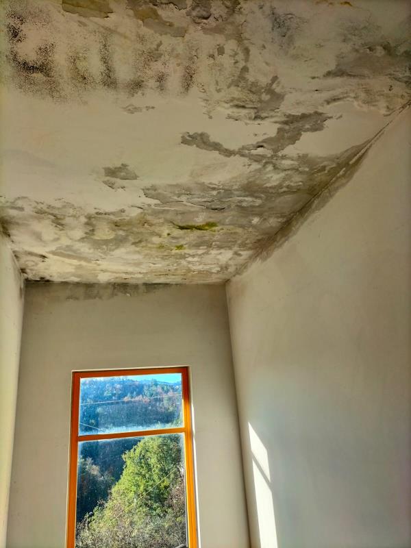 images Albi, gli inquilini delle case comunali: "Umidità e perdita dal soffitto, ma nessuno interviene"