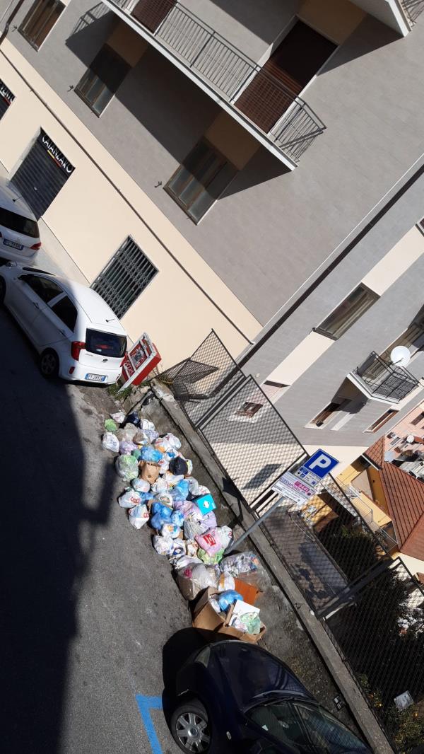 images Allarme rifiuti in centro, Cristina Rotundo (Fare per Catanzaro): "Bellavista abbandonata" 