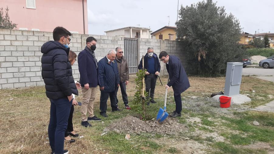images A Cropani e Botricello BCC Centro Calabria pianta 250 alberi nell'ambito del progetto “BancaBosco” 