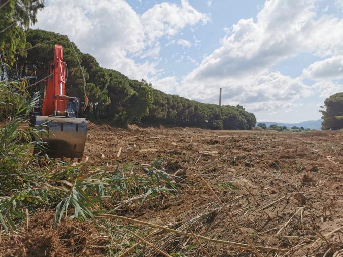 images Pulizia corsi d'acqua, l'amministrazione lametina ringrazia Calabria Verde