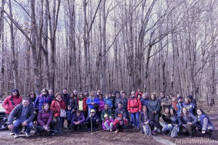 images Girifalco, continua la mobilitazione contro il taglio del bosco Rimitello