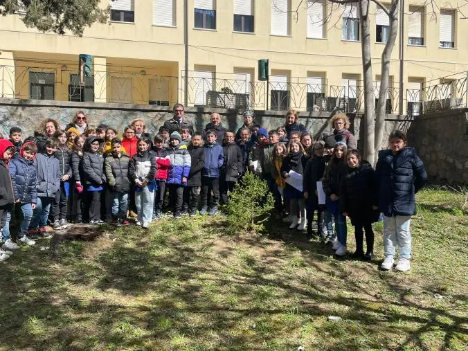 images Catanzaro, all'Aldisio la piantumazione degli alberi in ricordo della maestra Maria Bova 