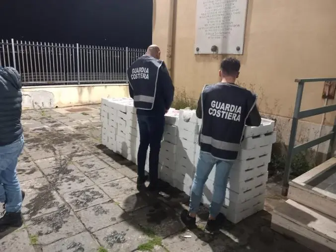 images Sequestrati a Reggio oltre 500 Kg di prodotto ittico illegale ed elevate sanzioni per 50.000 euro