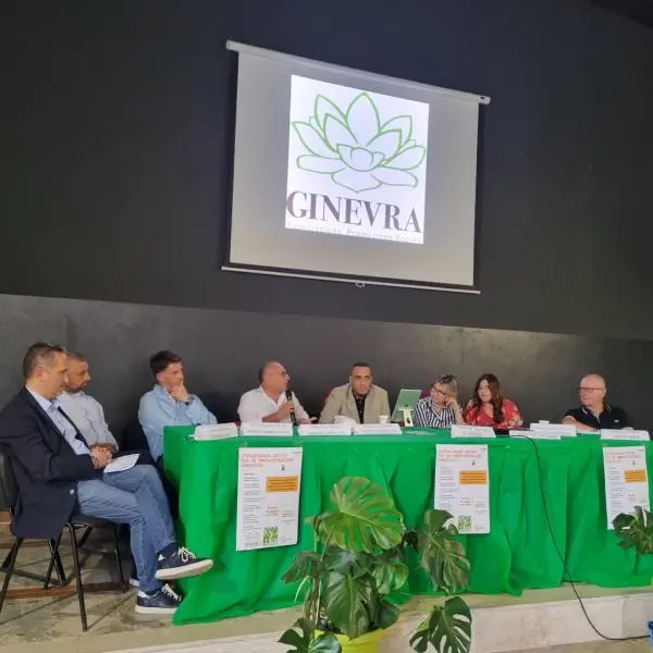 images Cittadinanza Attiva per un'amministrazione condivisa:
l'Associazione Ginevra promuove un evento dedicato alla crescita del territorio