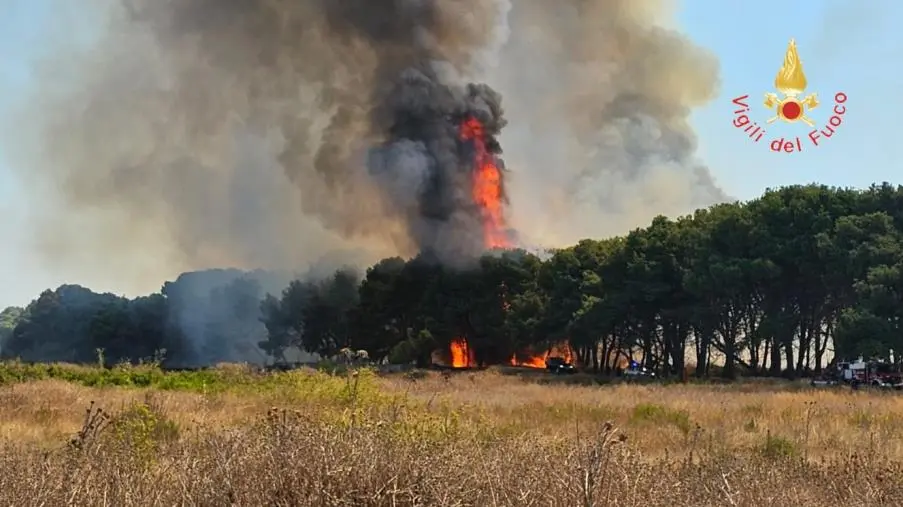 La vegetazione del Crotonese va in fiamme: gli interventi dei Vigili del fuoco in provincia 