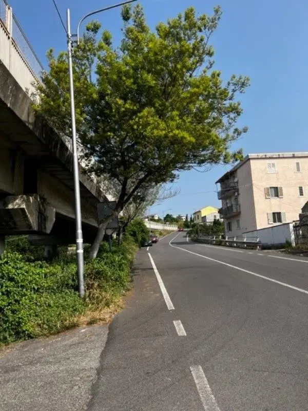 images Veraldi: “Il Comune diffidi l’Anas affinchè effettui la bonifica e la messa in sicurezza delle strade”