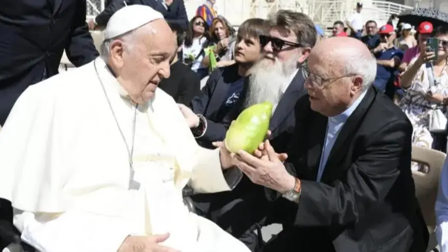 images Papa Francesco riceve in dono il cedro di Calabria: il commento di Angelo Adduci