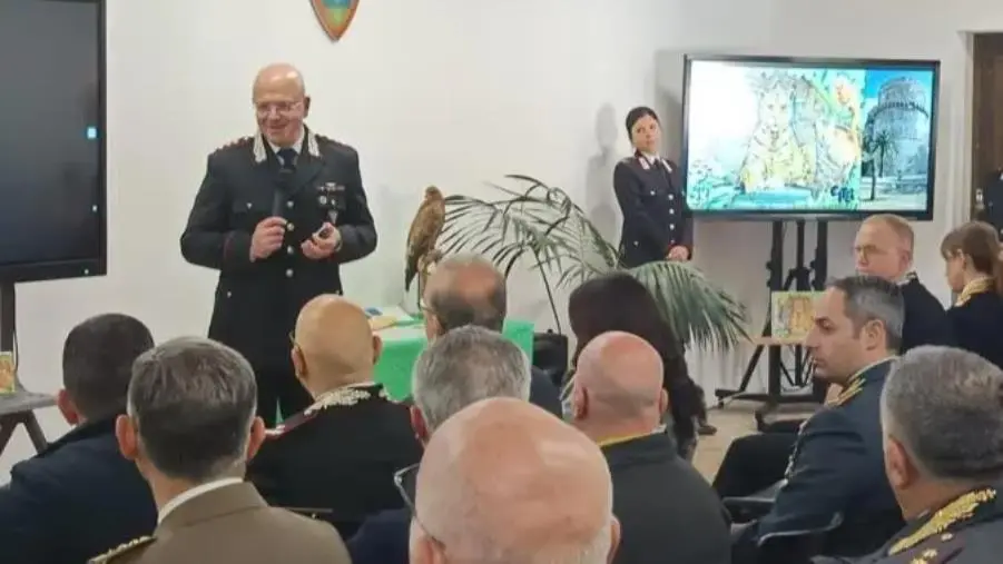 Reggio, i carabinieri Forestali presentano il bilancio dell'attività