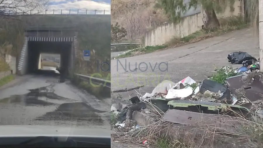 images Fogna, rifiuti abbandonati e strade invase dagli arbusti: ecco il degrado di Via Tagliamento 