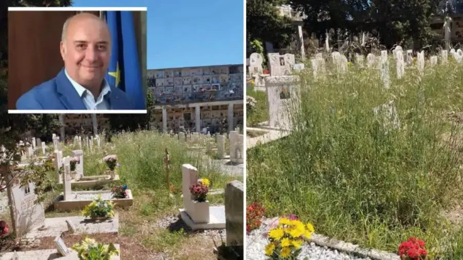 Incuria al cimitero di via Paglia, Critelli (Nuova Genesi): “Frutto di disorganizzazione ed incompetenza dell’amministrazione”