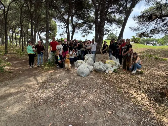 Alla Pineta di Giovino l’ultima giornata ecologica dell’associazione "Boschi Puliti"