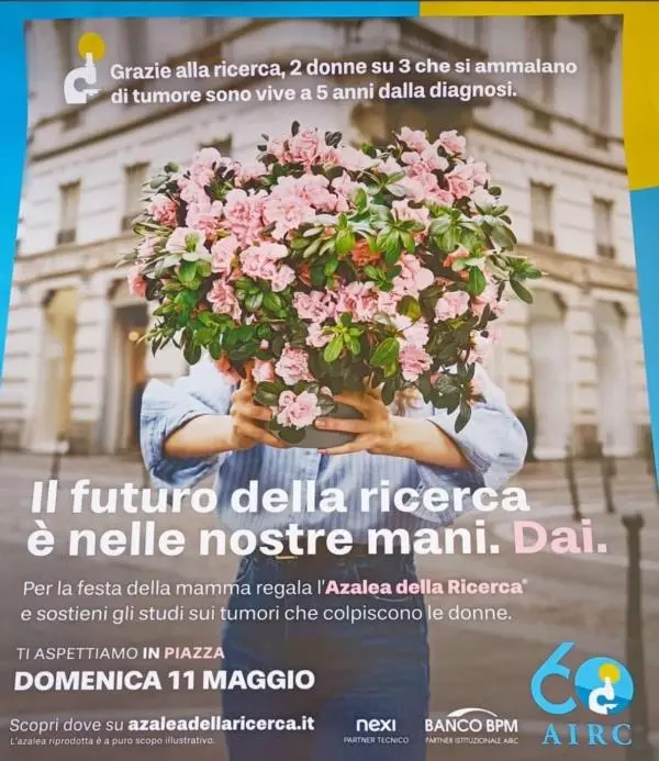 L’Azalea della Ricerca sboccia anche a Serra San Bruno: domenica 11 maggio appuntamento con la solidarietà