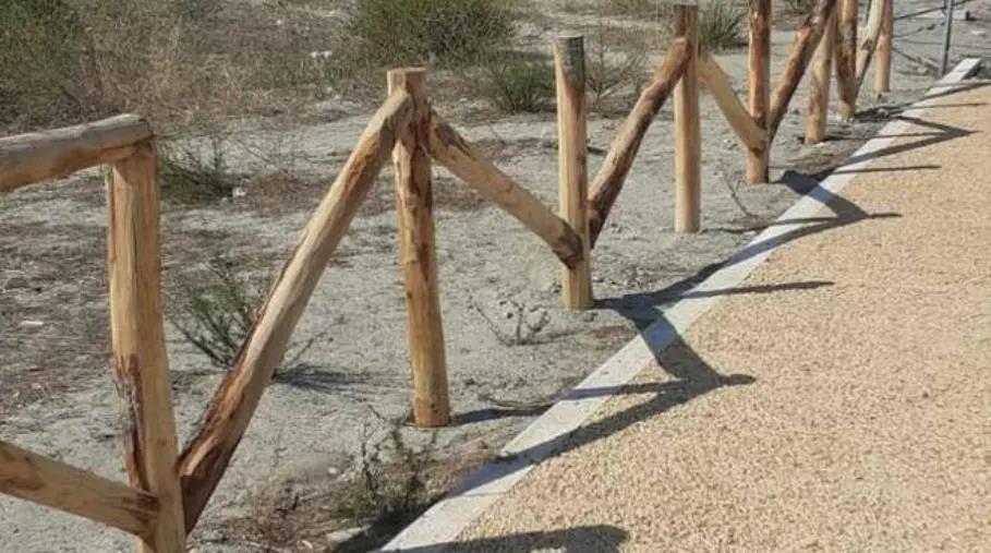 Catanzaro, lo sfogo di Fiorita sui social: "Stanco di combattere vandali e incivili"