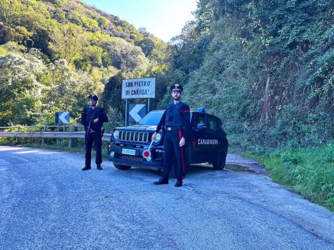 San Pietro di Caridà: scoperta una piantagione di marijuana, quattro arresti