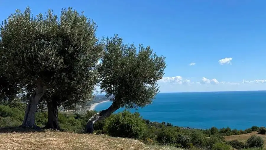 Reggio Calabria, mercoledì 19 giugno il convegno “Mediterraneo, un laboratorio di integrazione"