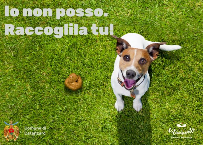 images Catanzaro, campagna di sensibilizzazione alla deiezione canina: firmato protocollo d’intesa tra Comune e Vitambiente