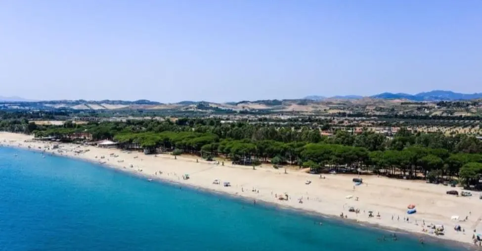 images Simeri Crichi, approvati 2 atti di indirizzo per proteggere le pinete nella zona marina 