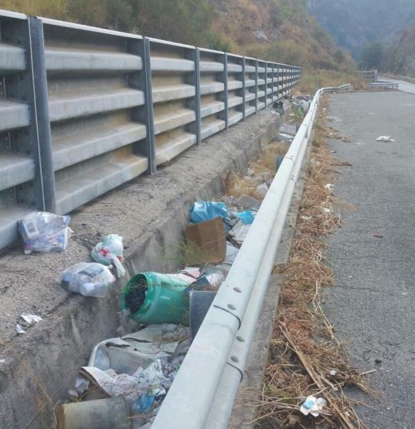 images Strada Provinciale invasa da rifiuti, il vicesindaco di Albi: "Immobilismo totale dalle istituzioni"