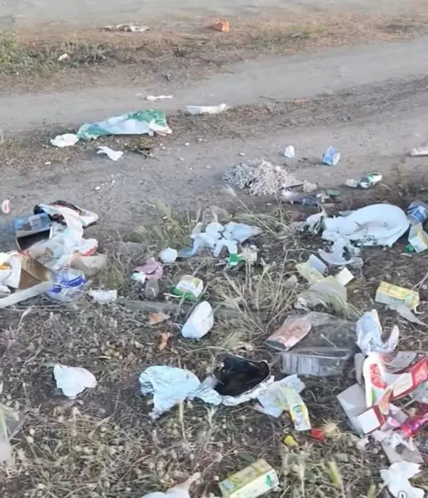 Rifiuti pineta di Giovino, Riccio e Concolino: "Sarà ancora colpa del passato?"