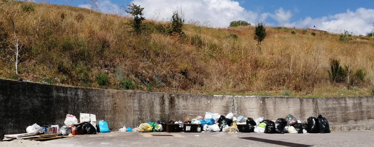 images Ritardi nella raccolta dell'indifferenziata a Cosenza, il Comune: "Colpa della Regione"