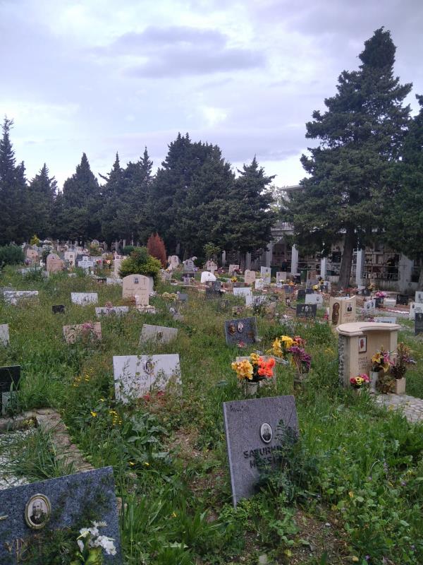 images Il cimitero della vergona a Catanzaro: erbacce e incuria ovunque 