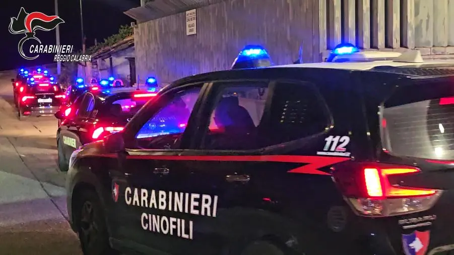 ‘Ndrangheta: arrestato in Spagna latitante croato dell’operazione “Arangea Bis”