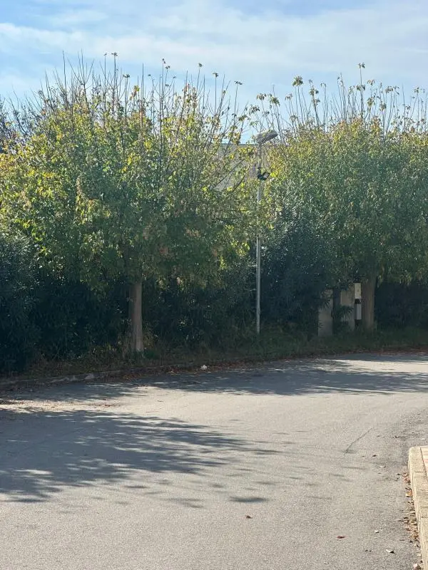 Catanzaro, la denuncia di Riccio e Concolino: "Via Guglielmo Papaleo a Lido ancora al buio"  