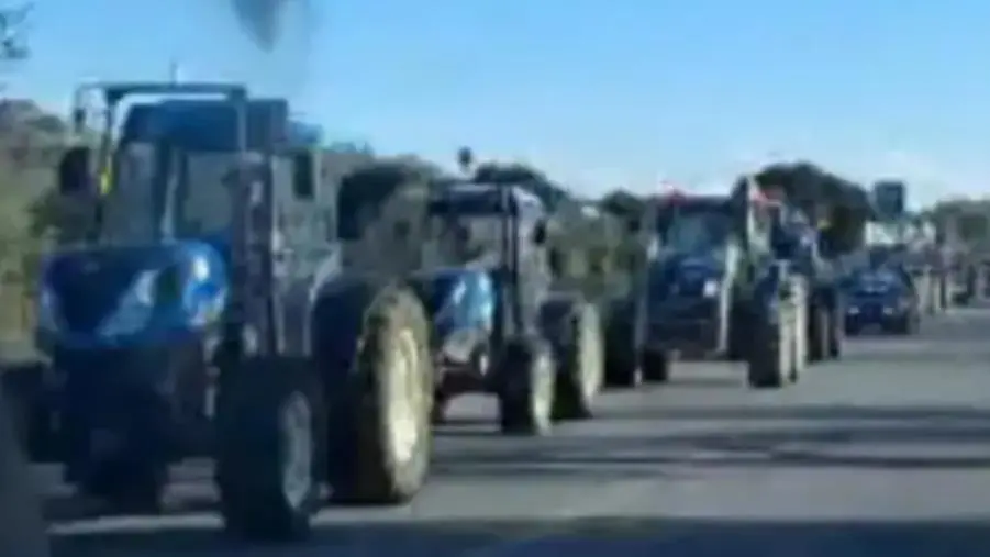 Agricoltura, raduno dei trattori allo svincolo A2 all'altezza di Pizzo Calabro
