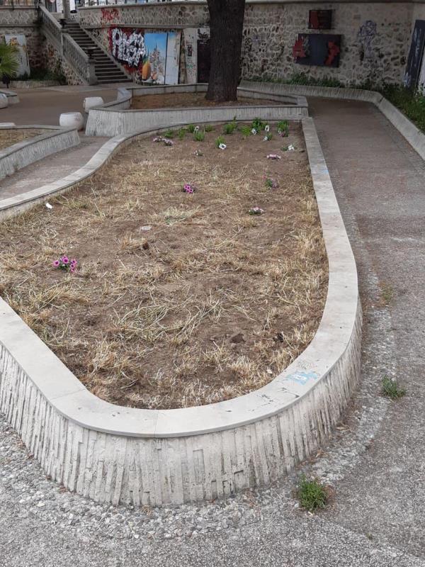 images Piante aromatiche messe a dimora ieri ai giardini di San Leonardo rubate nella notte. Lobello: "Gesto grave e inaspettato"