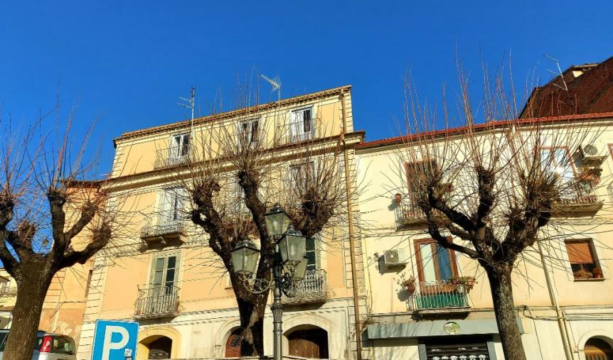 Lamezia Bene Comune in difesa degli alberi: "Stop capitozzature selvagge. Si rispetti regolamento"