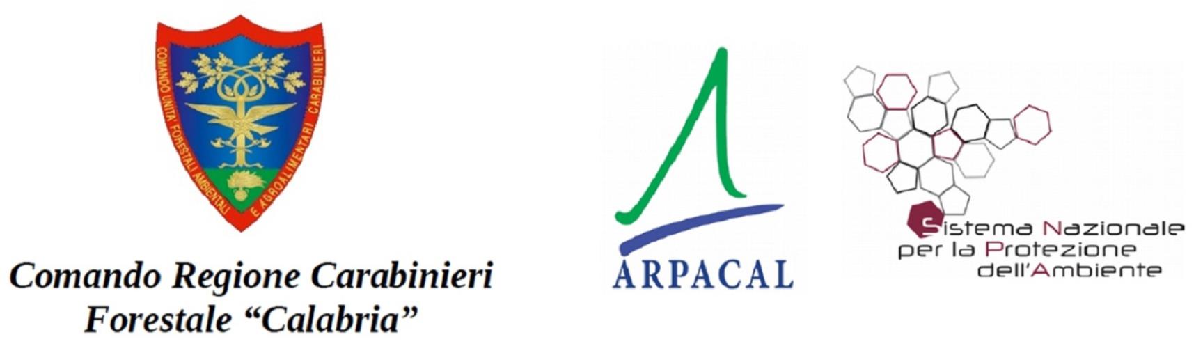 images Martedì sarà firmato il protocollo fra Arpacal e Carabinieri "Forestale" per l'allertamento delle valanghe