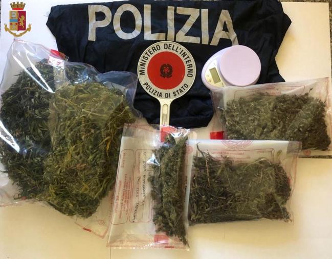 images Tenevano e spacciavano marijuana: due arresti nel Vibonese