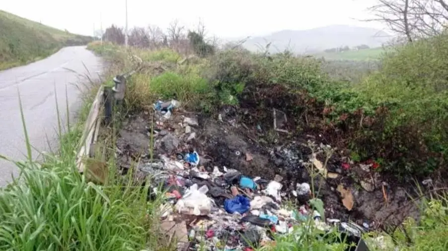 images Catanzaro, emergenza rifiuti speciali in via Molè: un pericolo ignorato per l'igiene pubblica