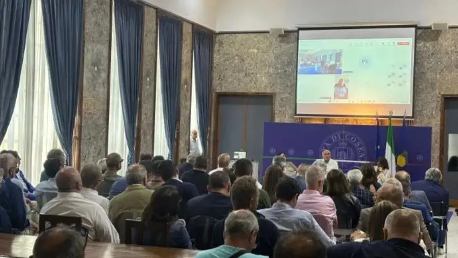 TIS, incontro a Cosenza tra Caruso e sindaci della provincia: lunedì 9 giugno incontro con Occhiuto