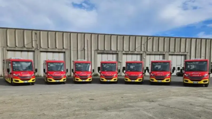 Catanzaro, all'Amc arrivati sette nuovi autobus