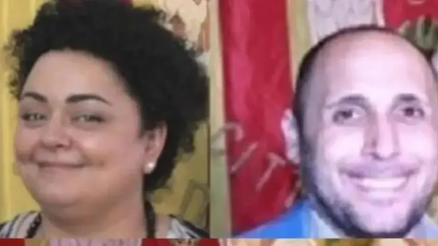 images A Catanzaro cinghiali davanti a una scuola, Concolino e Laudadio: "Il Comune si concentri sui problemi reali"