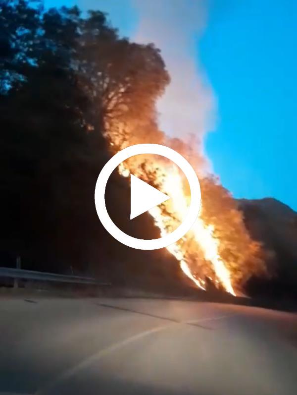 images Incendio sulla strada provinciale tra il quartiere Janò e Magisano