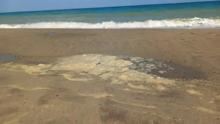 Massimiliano Lepera: “La particolare situazione delle acque del nostro mare”