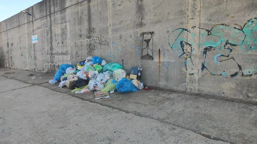 images Cumuli di spazzatura lungo il molo del porto di Catanzaro, la denuncia: "Situazione indecorosa"