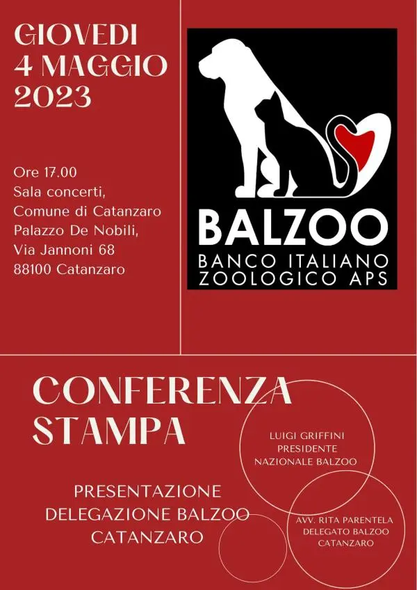 images L’Associazione 'Balzoo' approda a Catanzaro 