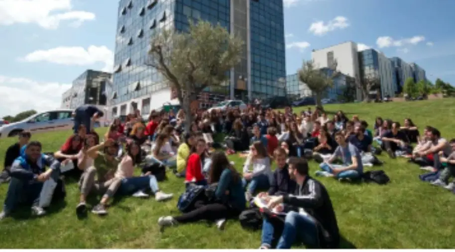 L’Unical al centro dell’Europa: centinaia di studenti da 26 nazioni per il Council Meeting 2025 di EUPeace
