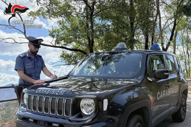 Piana di Gioia Tauro, controlli straordinari dei carabinieri: 13 persone denunciate 
